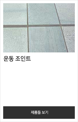 운동 조인트