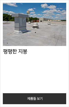 평평한 지붕