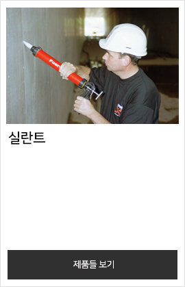 실란트
