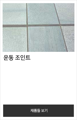 운동 조인트